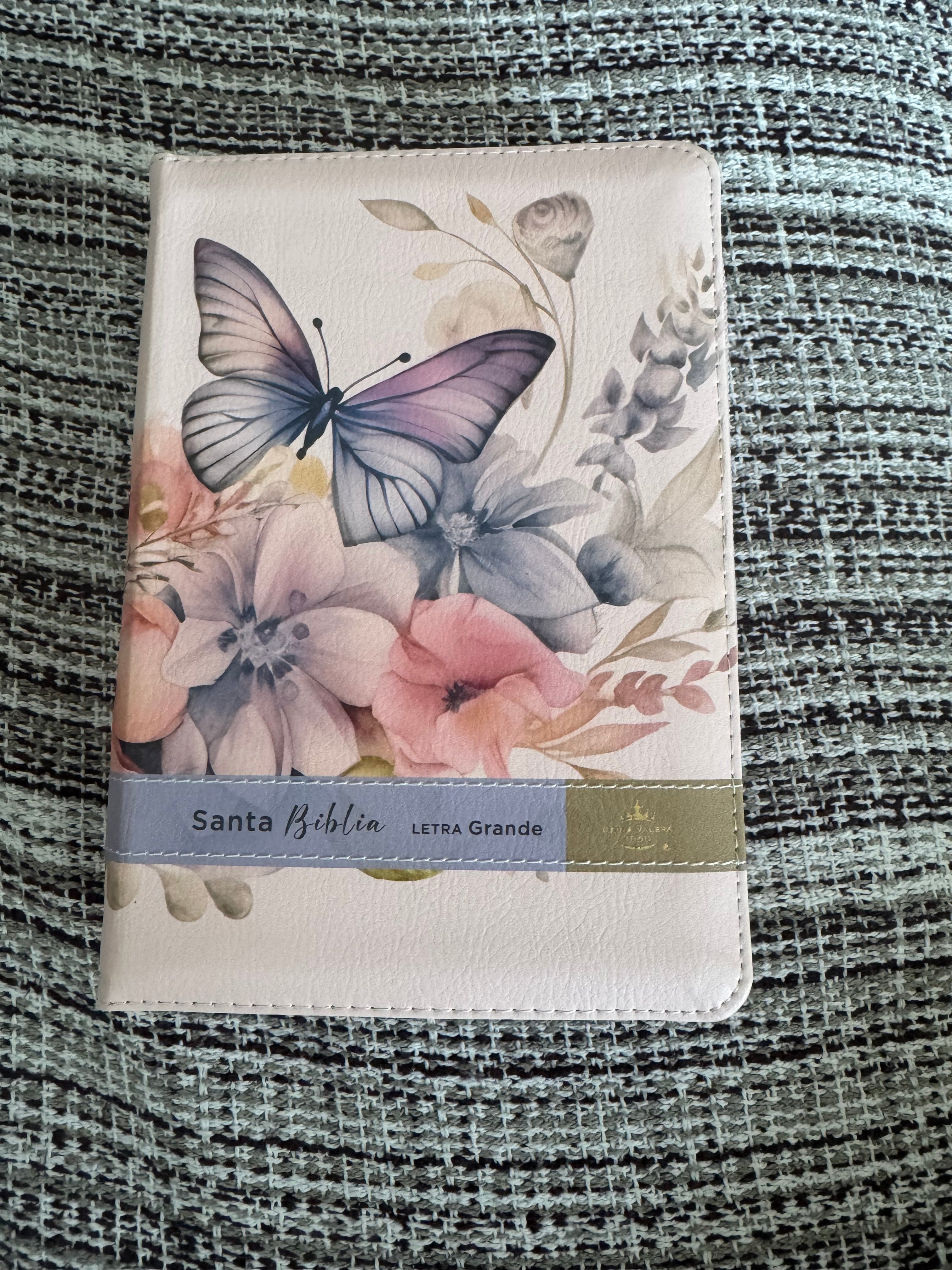 Biblia RVR 1960 letra grande