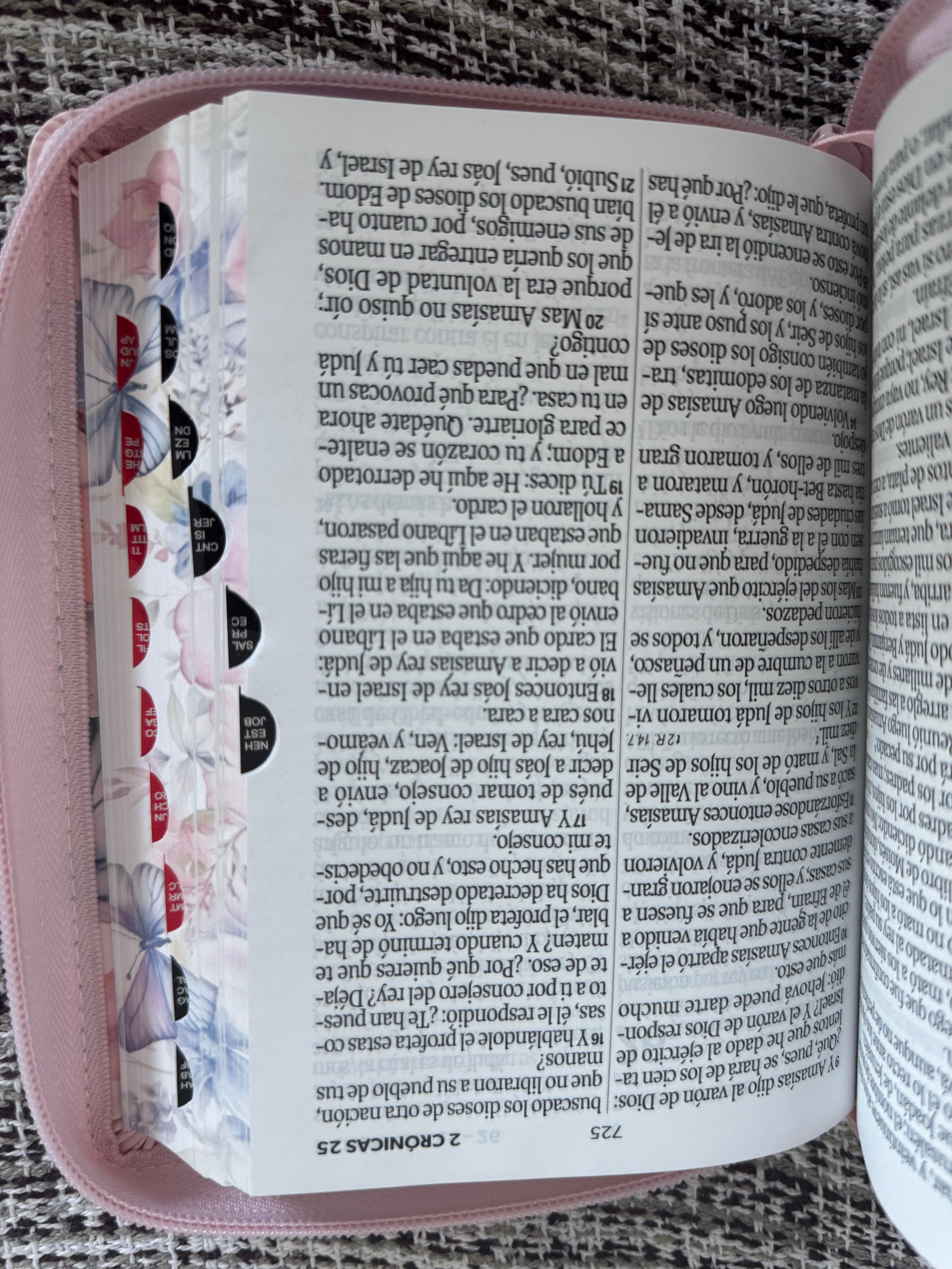 Biblia RVR 1960 letra grande