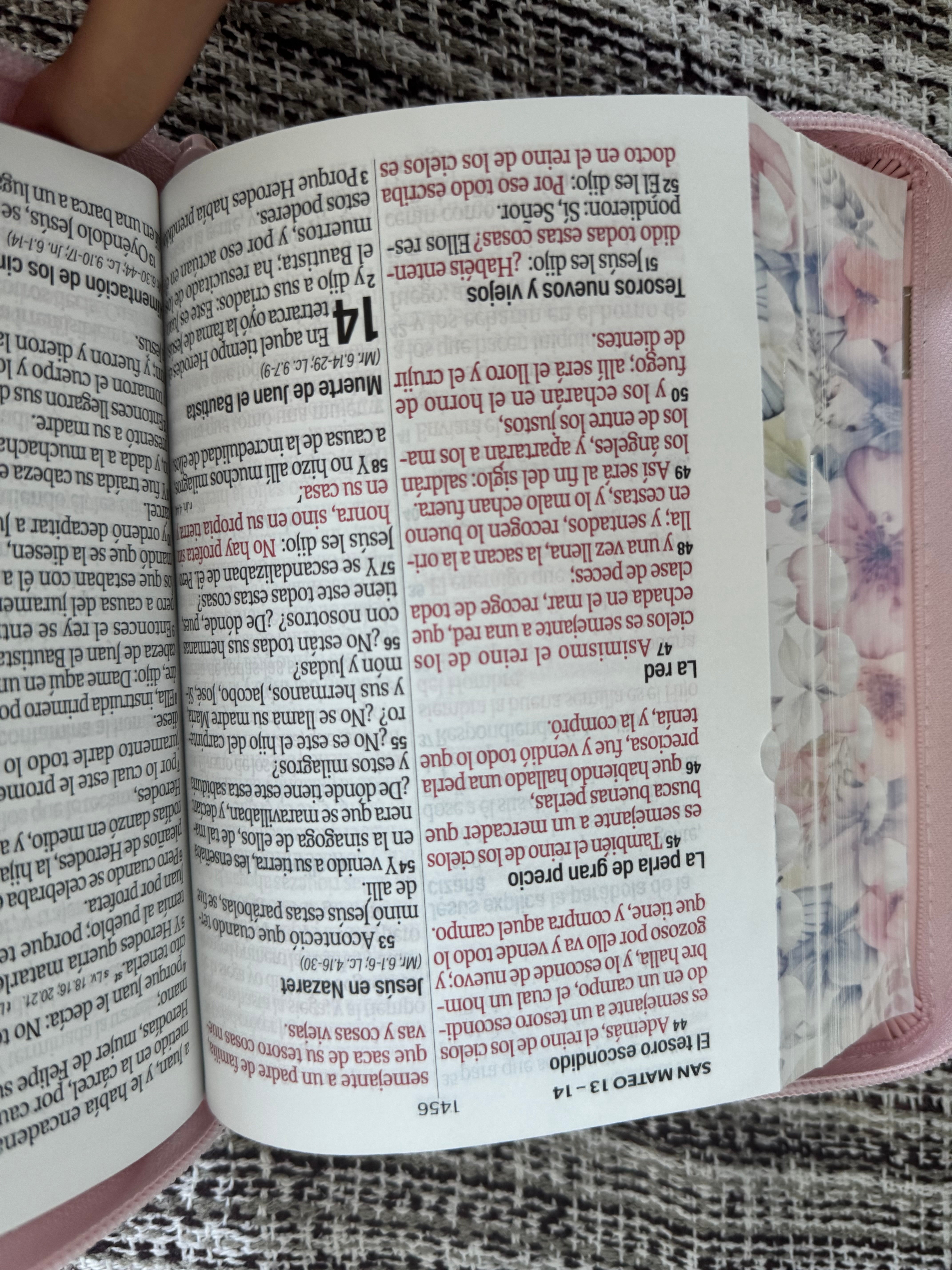 Biblia RVR 1960 letra grande