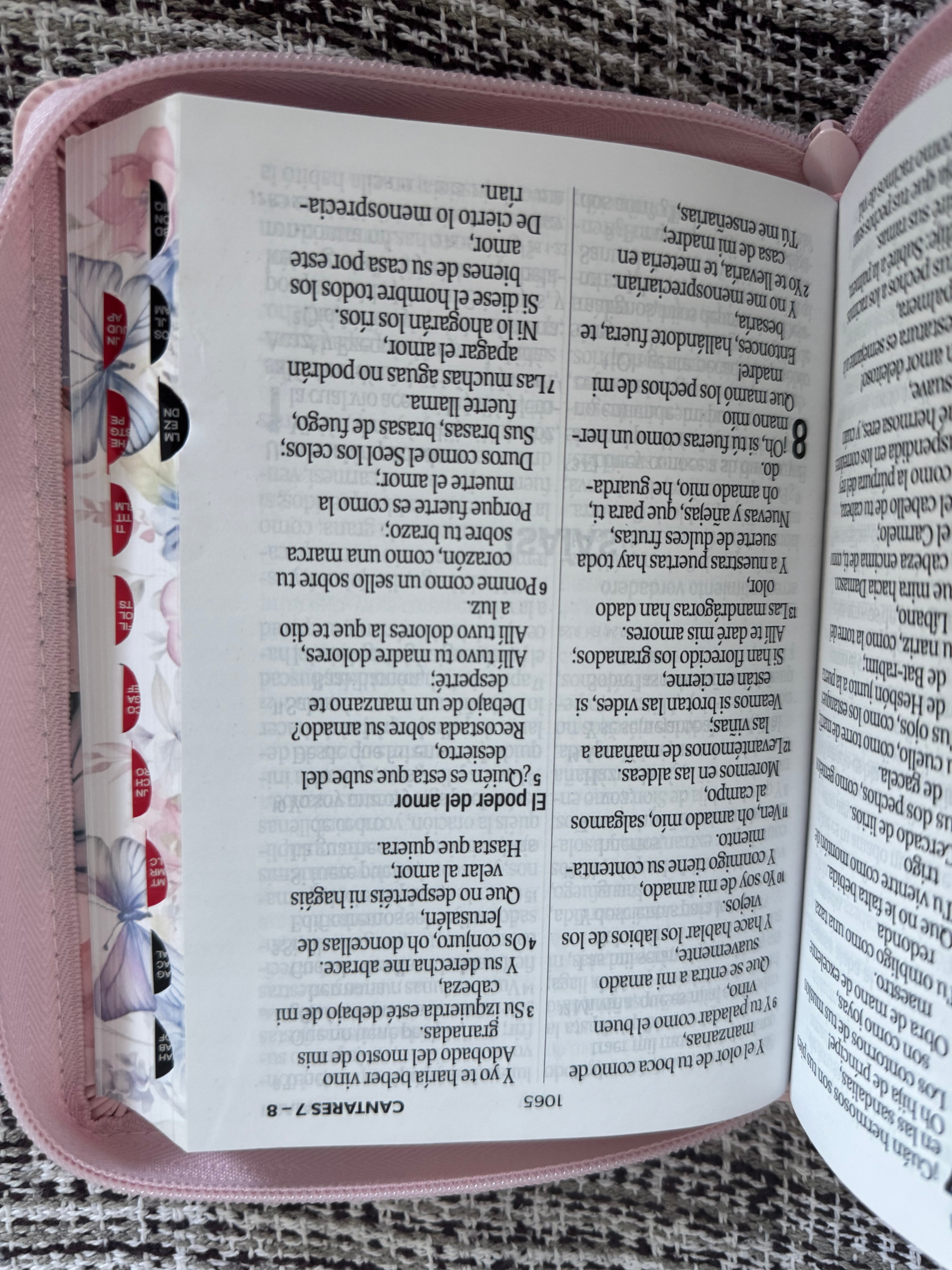 Biblia RVR 1960 letra grande
