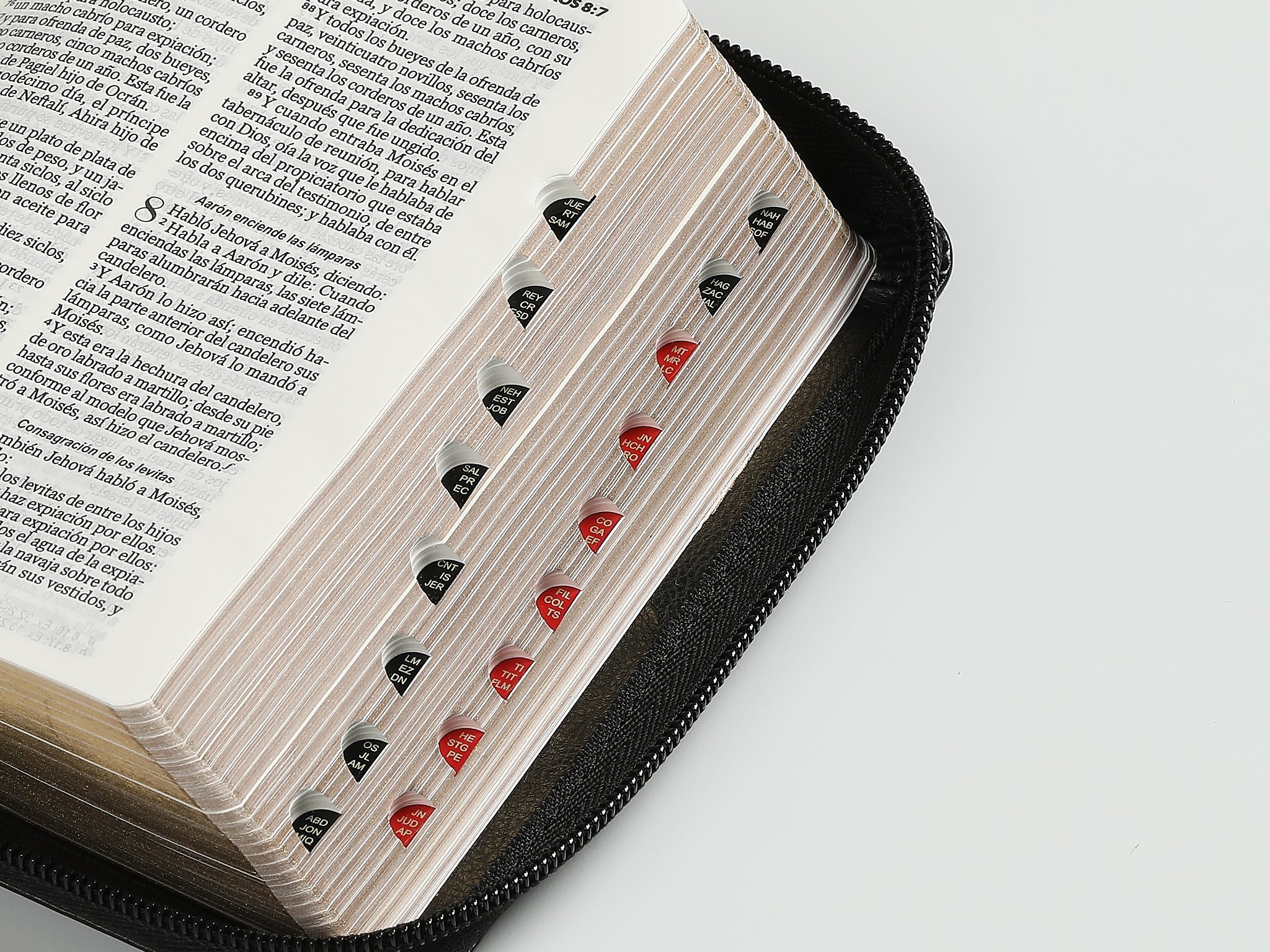 Libreria Cristiana Arca