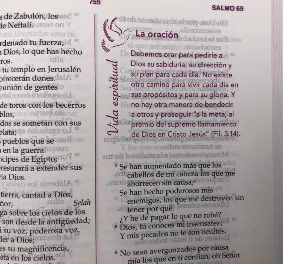 Libreria Cristiana Arca