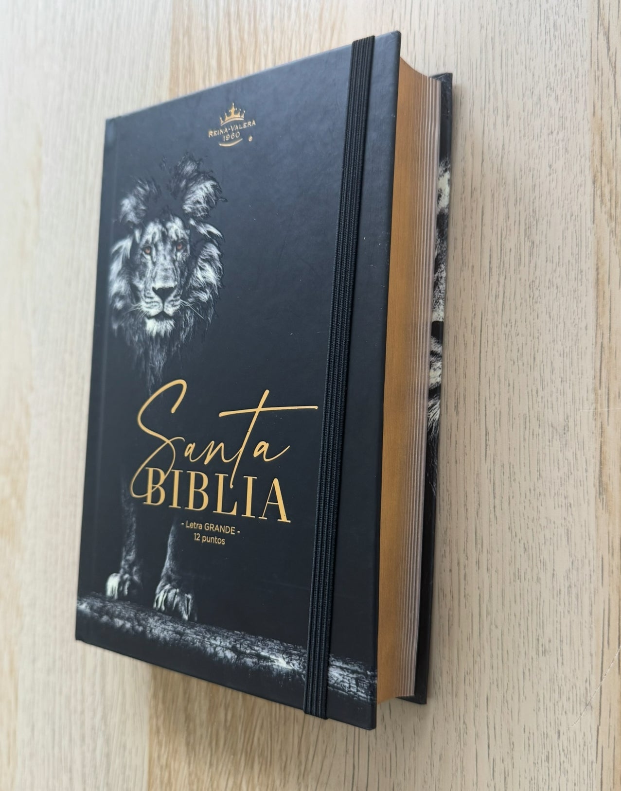 Libreria Cristiana Arca
