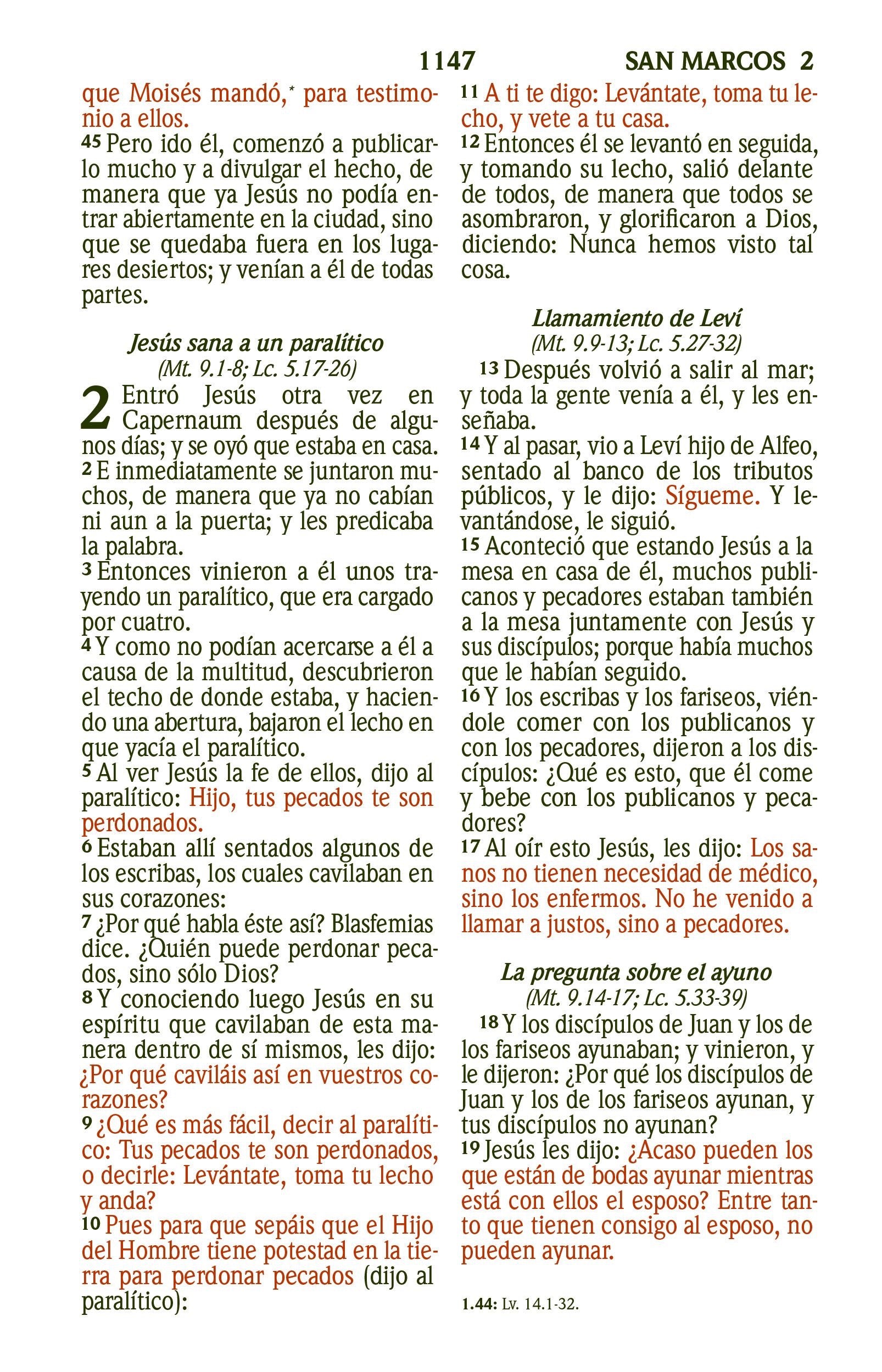 Libreria Cristiana Arca