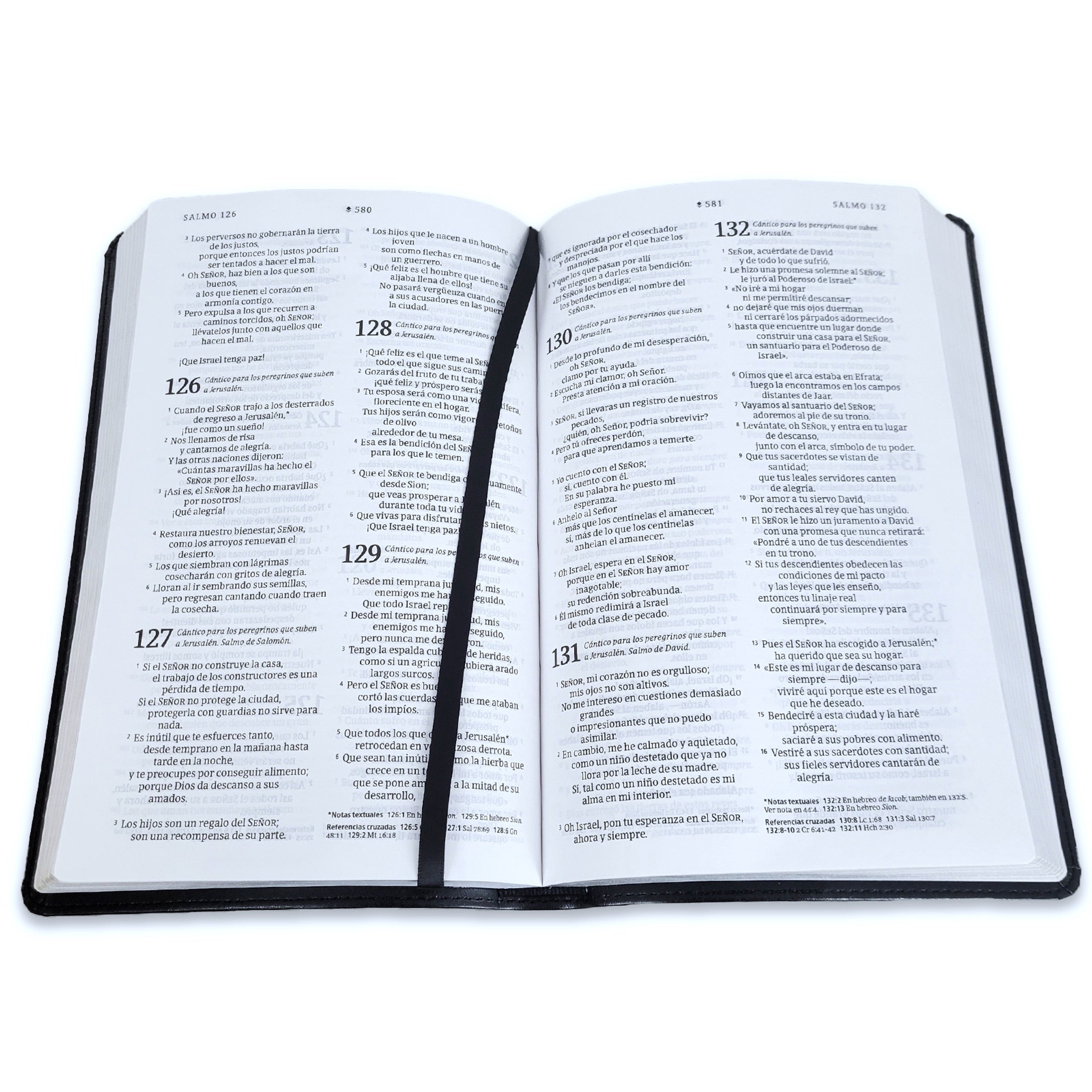 Biblia NTV Ultrafina Negro