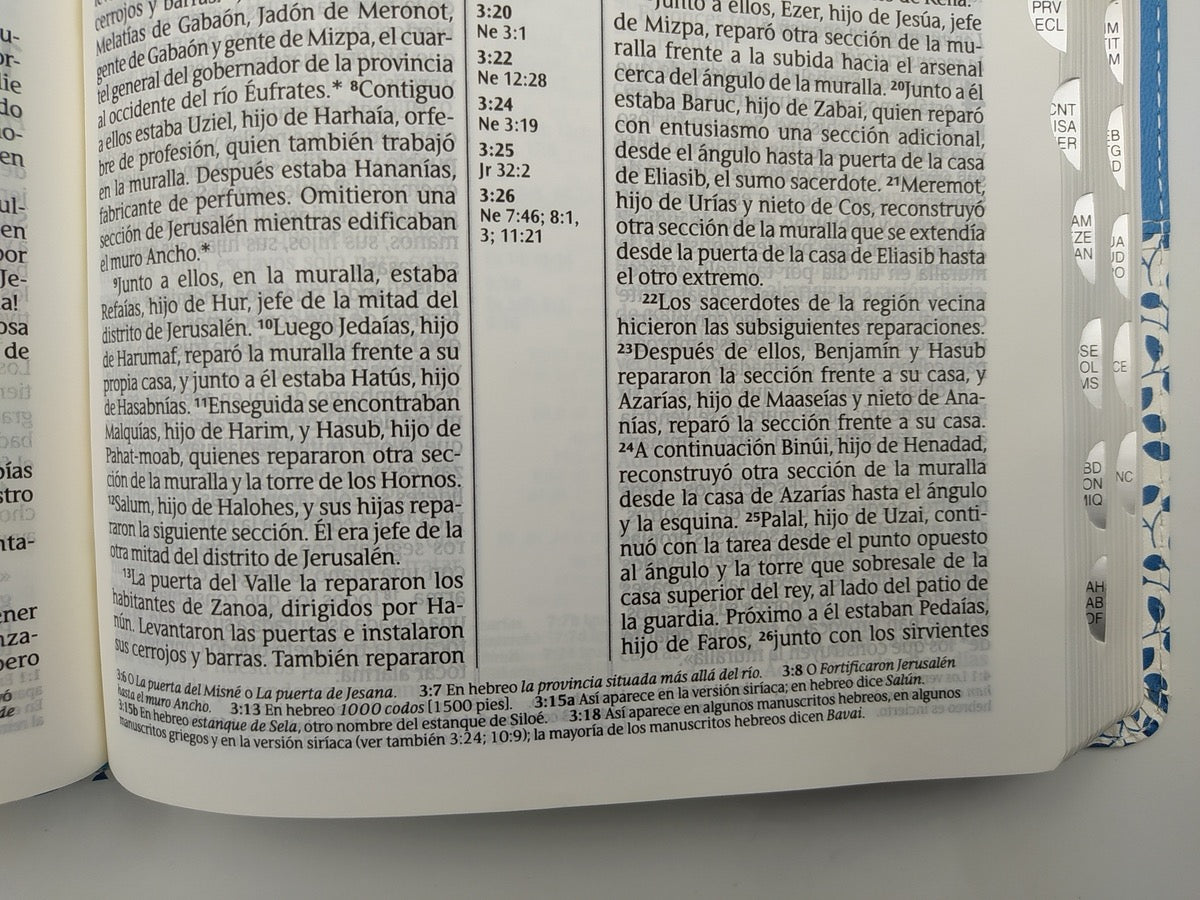 Biblia NTV celeste