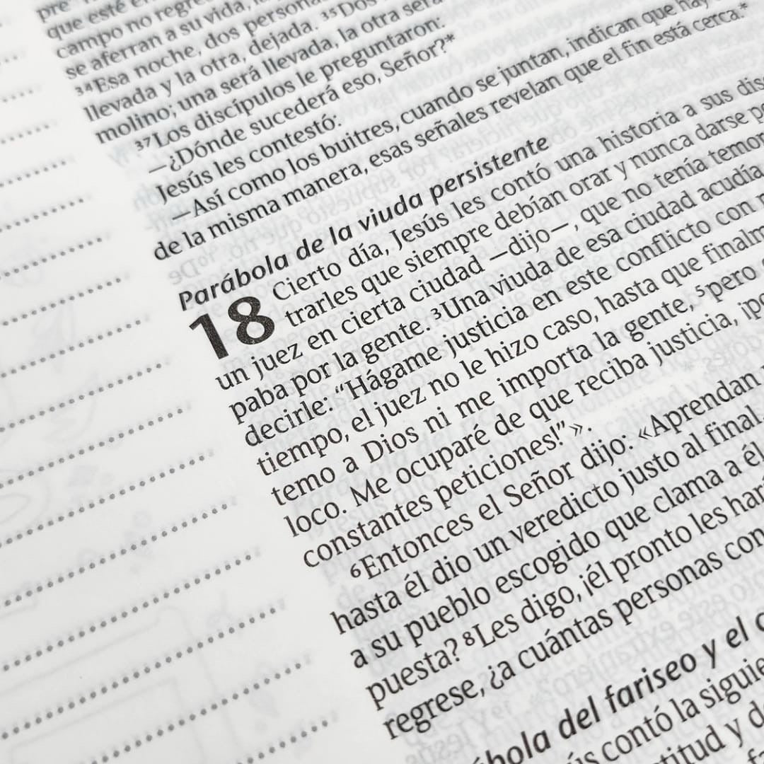 Libreria Cristiana Arca