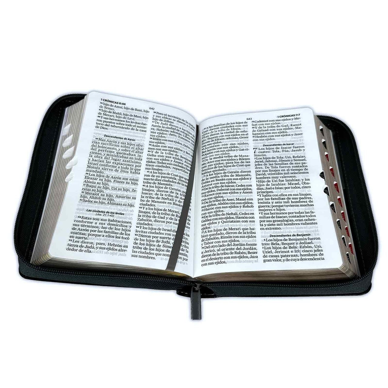 Libreria Cristiana Arca