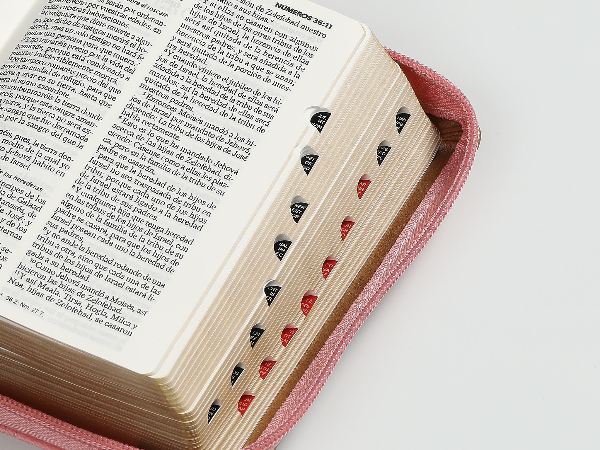 Biblia RVR60 Bolsillo rosa