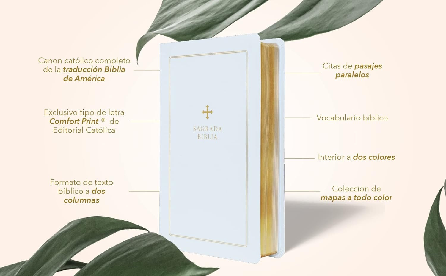 Biblia Católica