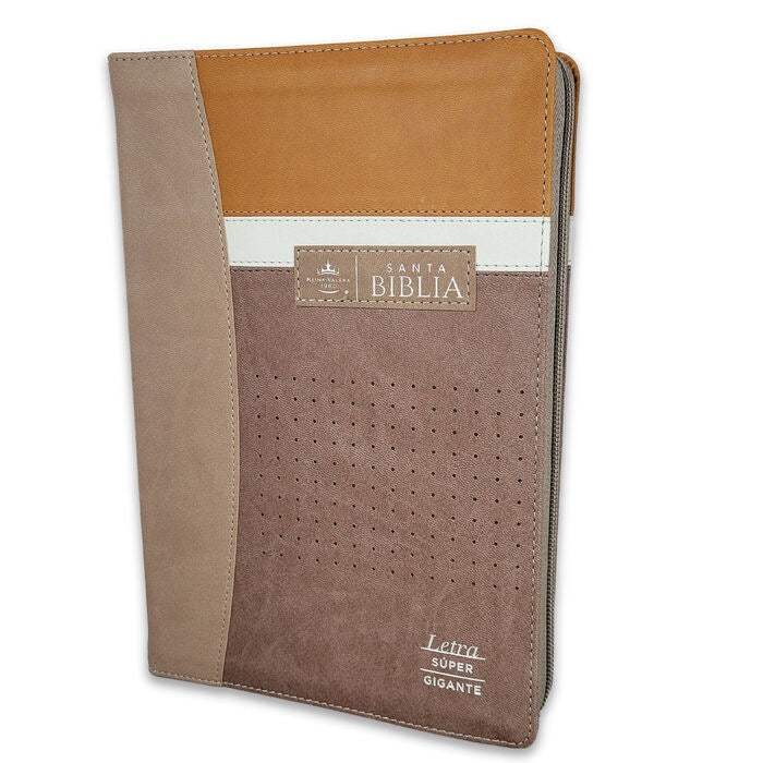 Libreria Cristiana Arca