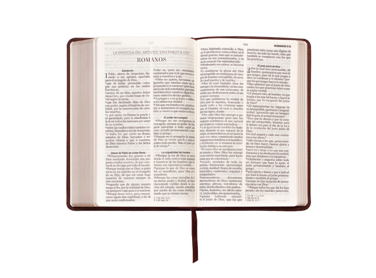 Biblia RVR60 Tamaño Manual Letra Grande café