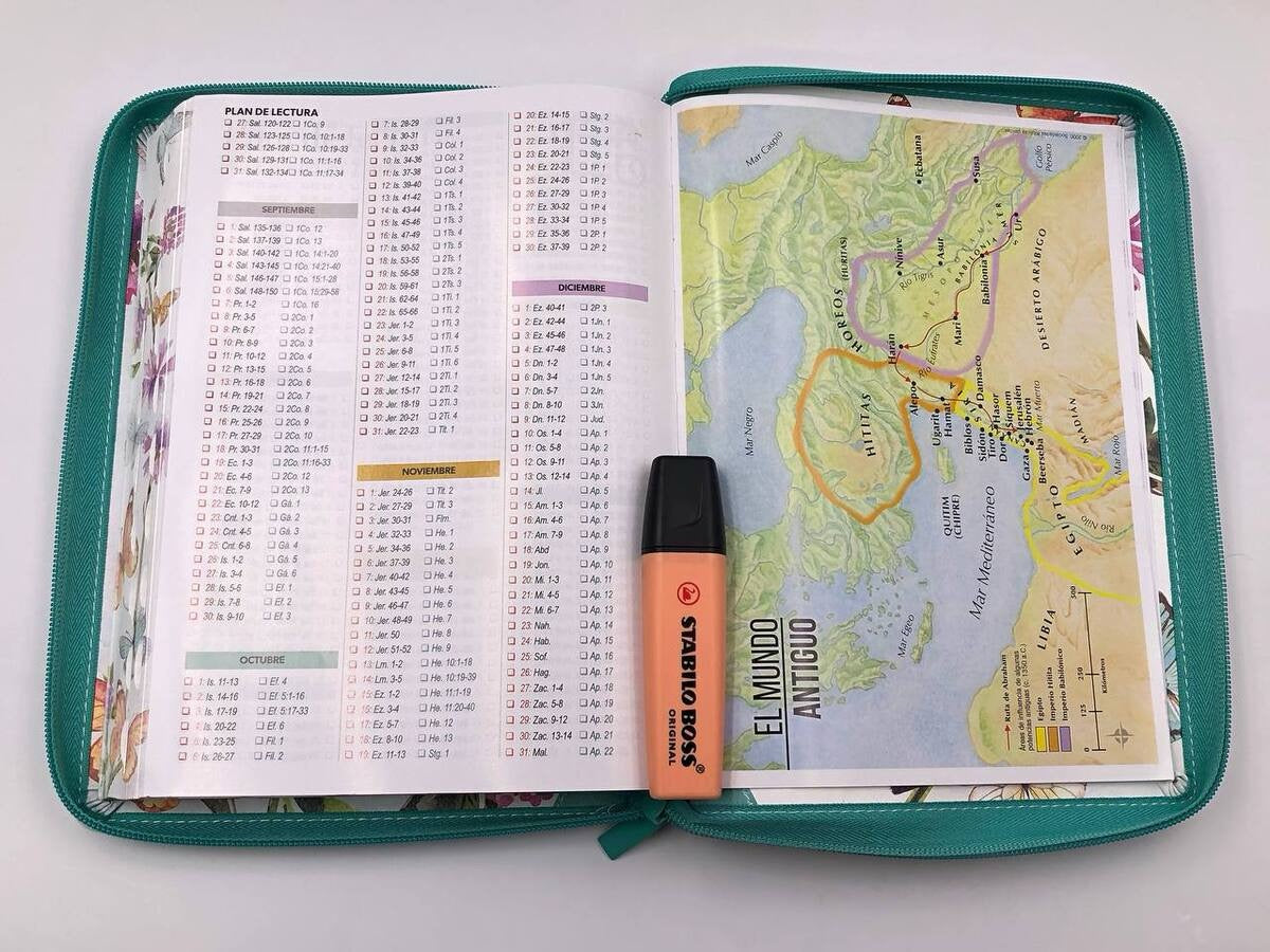 Biblia RVR60 Letra Gigante 15 puntos Verde