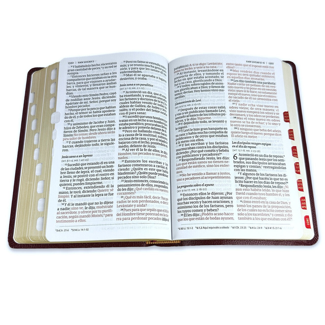 Biblia RVR 1960 Tamaño Manual Símil Piel con indice