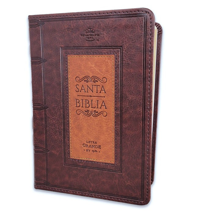 Libreria Cristiana Arca