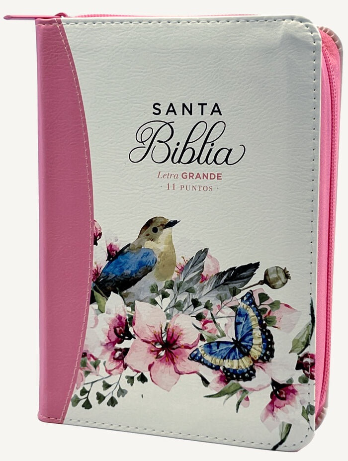 Libreria Cristiana Arca