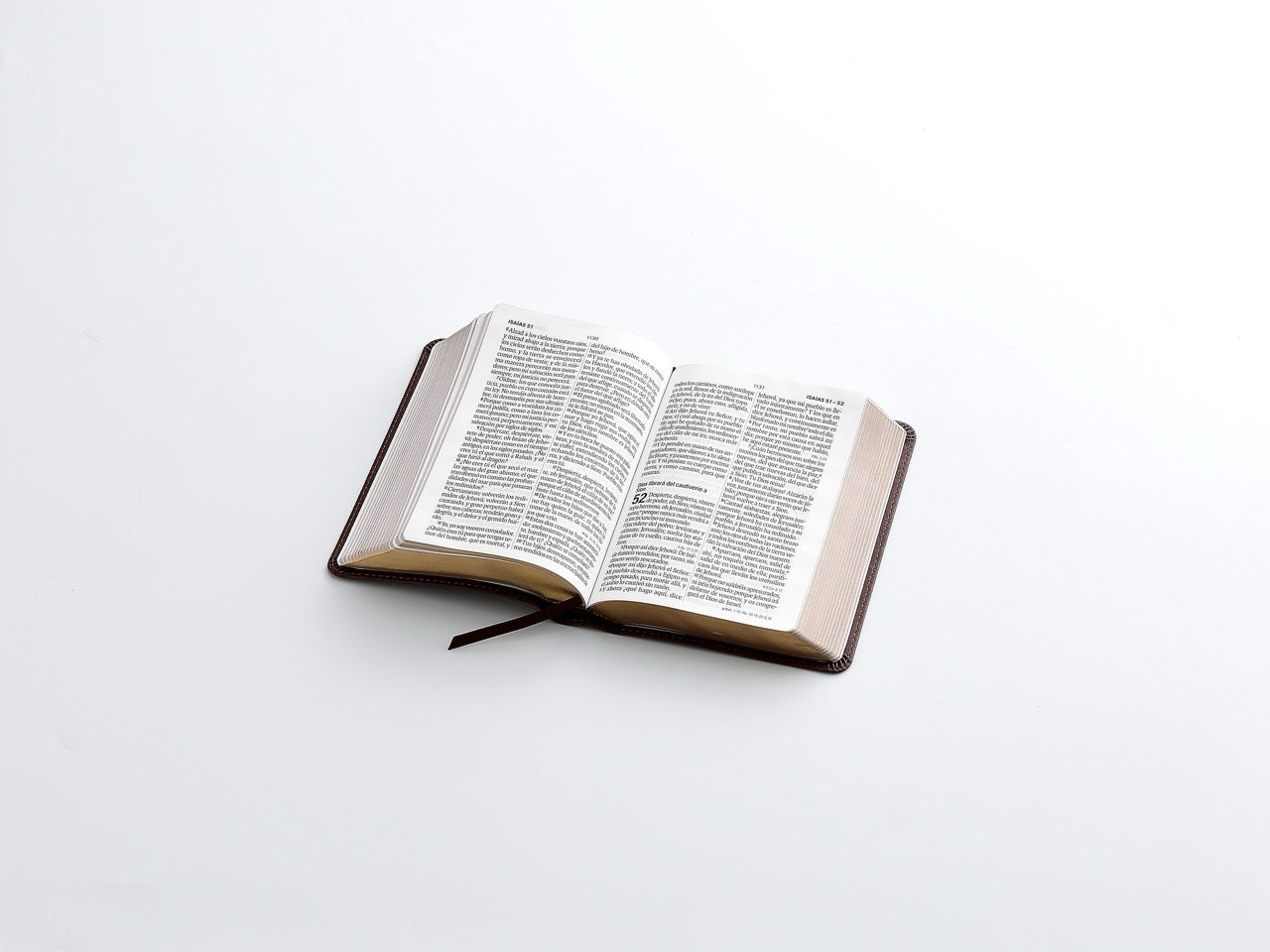 Biblia RVR60 Tamaño compacto Letra Grande 12 puntos