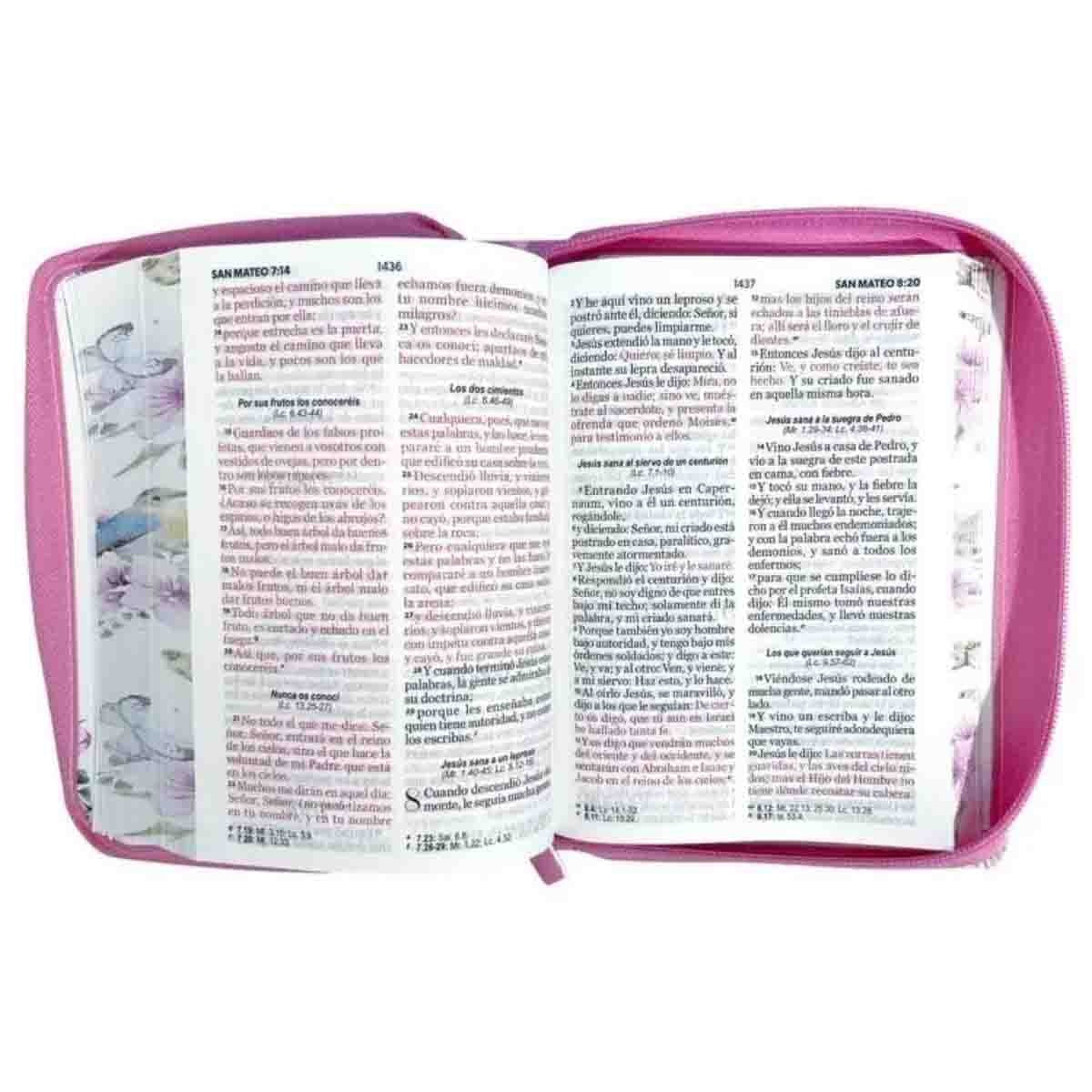 Biblia RVR 1960 Letra Grande Tamaño Manual