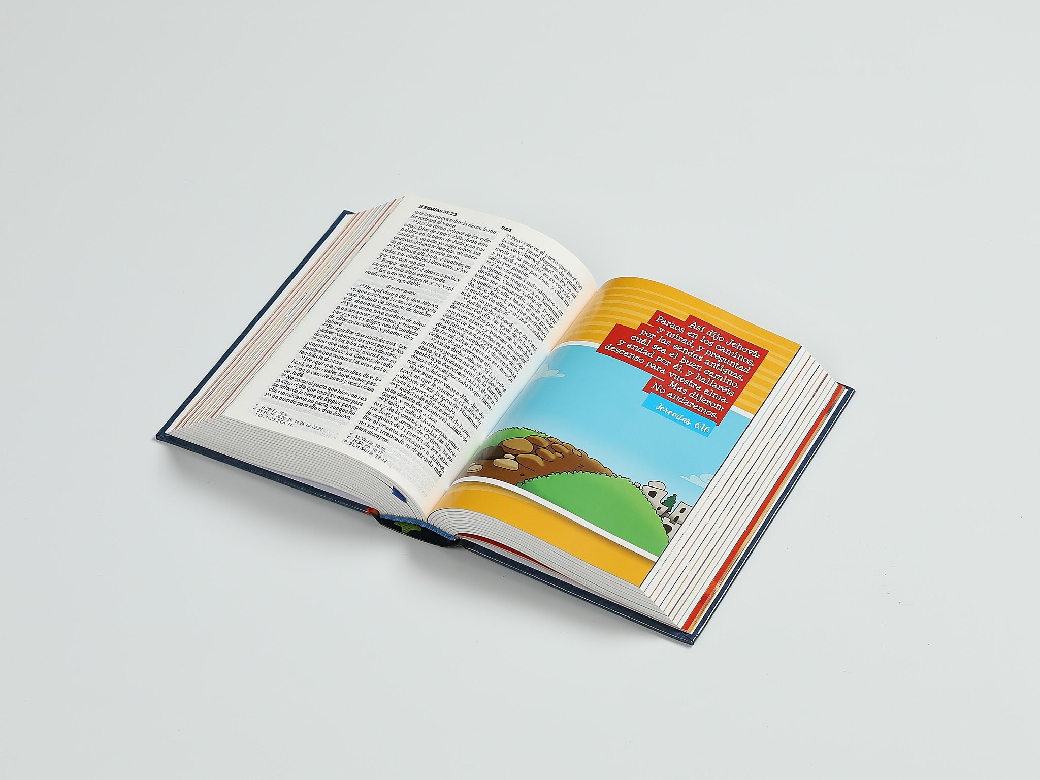 Libreria Cristiana Arca