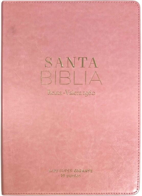 Libreria Cristiana Arca