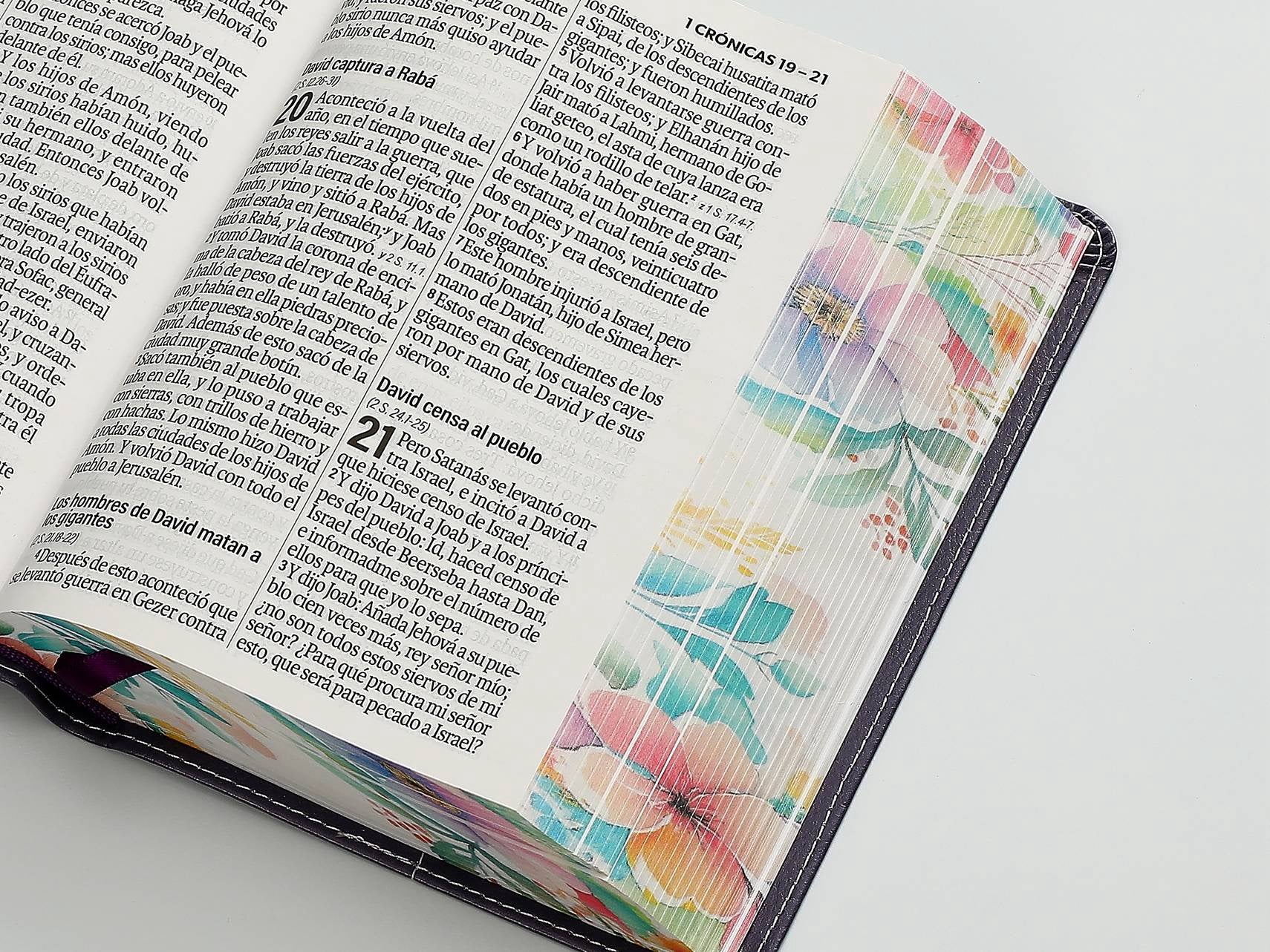 Biblia RVR60 Tamaño compacto Letra Grande 12 puntos