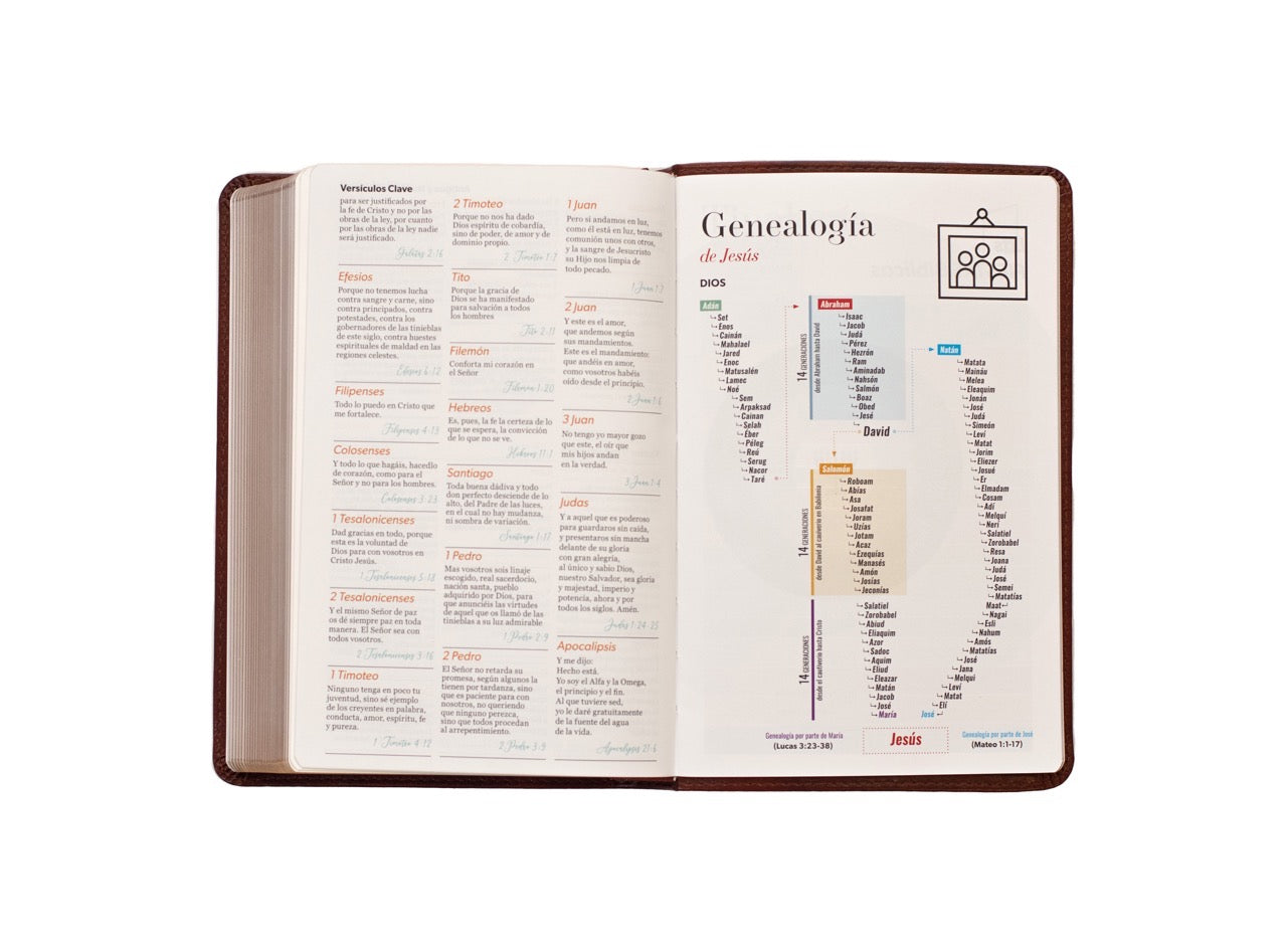 Libreria Cristiana Arca