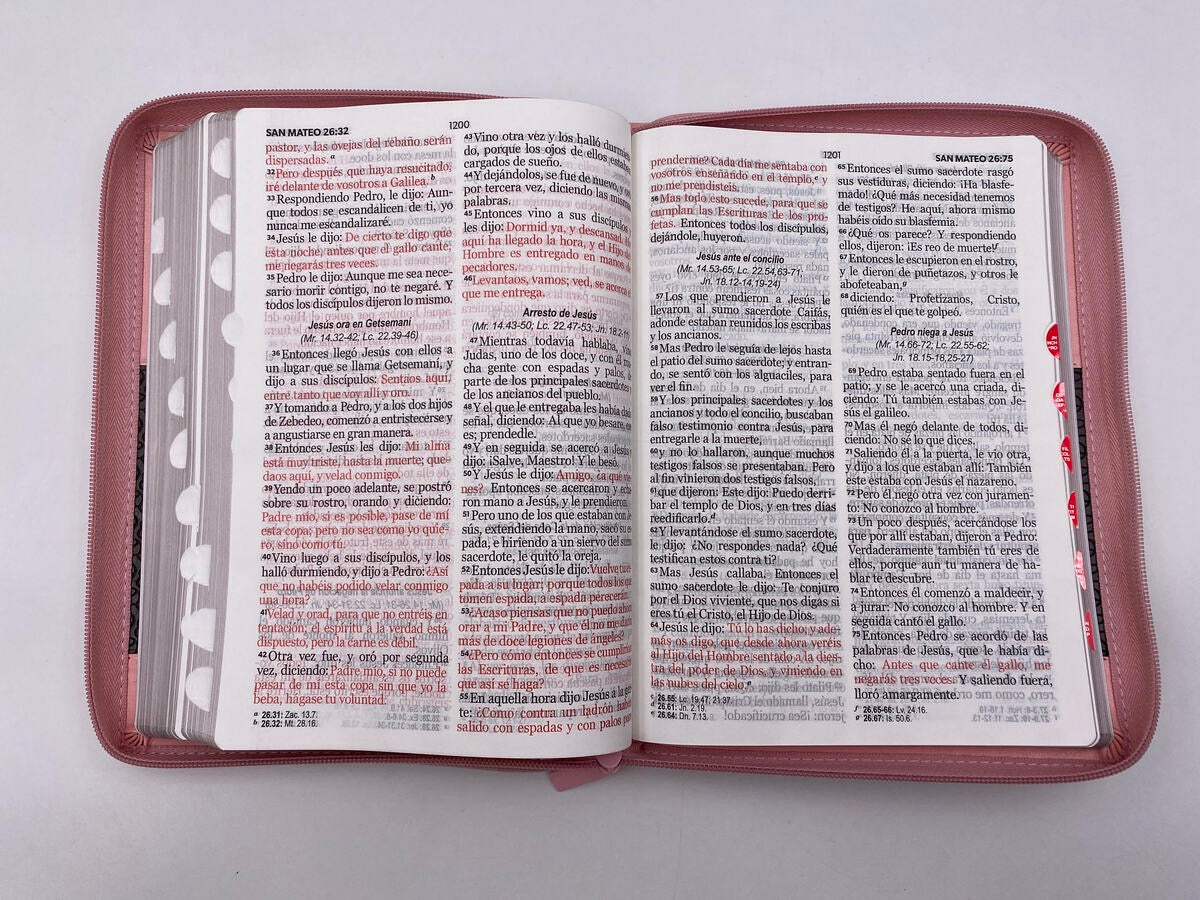 Biblia RVR 1960 Letra Súper Gigante