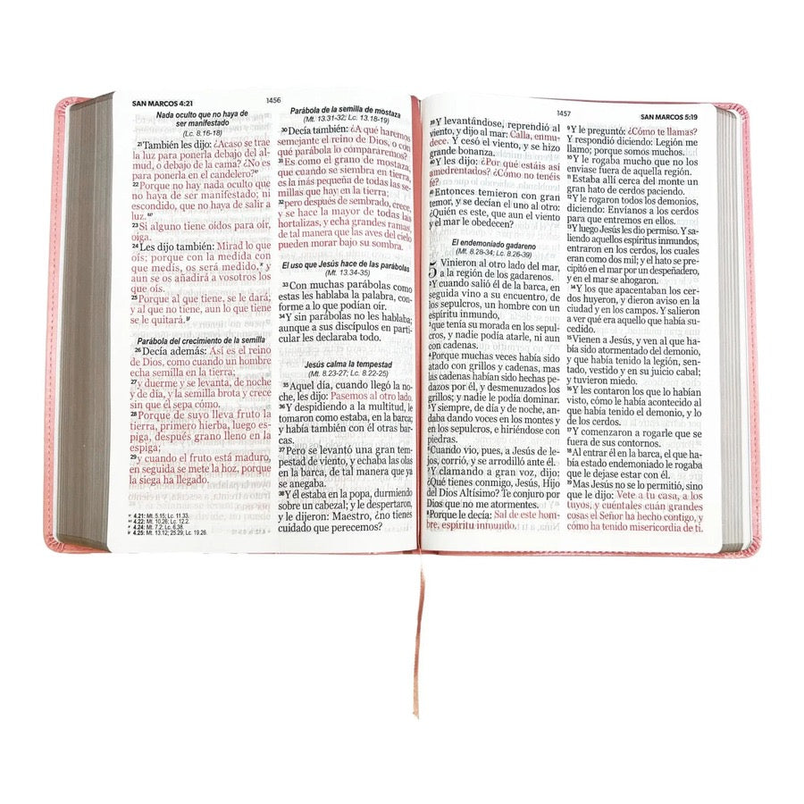 Biblia RVR60 súper gigante letra 19 puntos Rosa