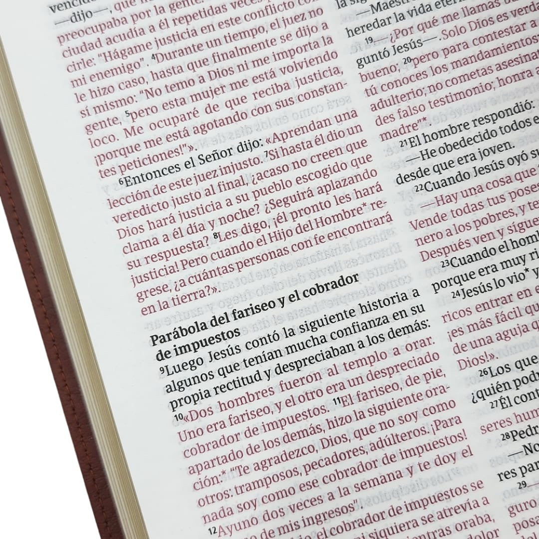 Biblia NTV Ultrafina piel