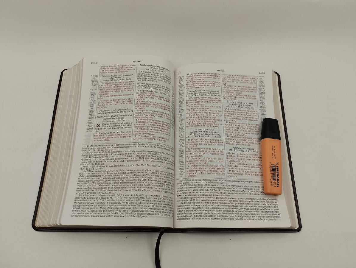 Libreria Cristiana Arca