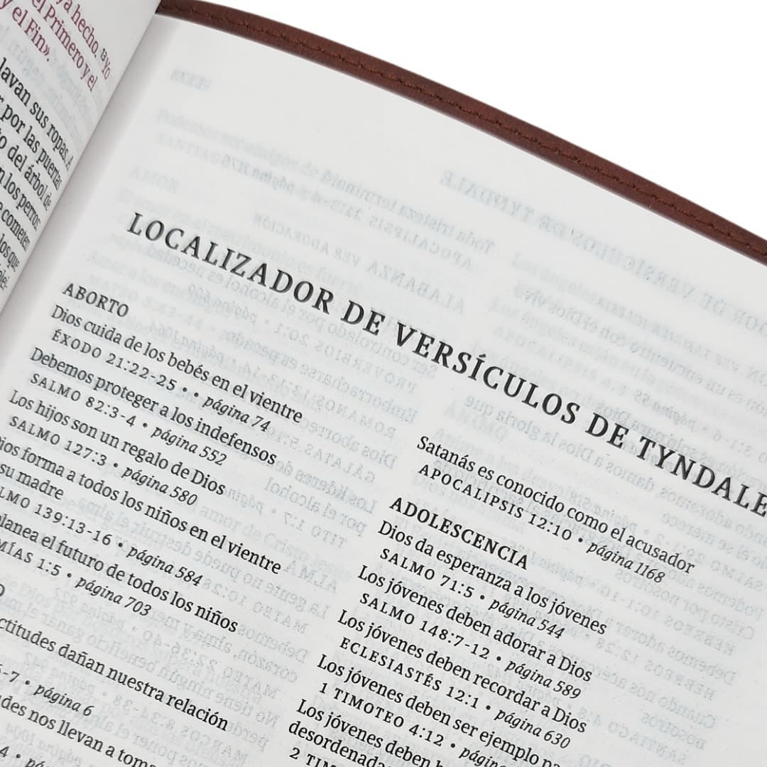 Libreria Cristiana Arca