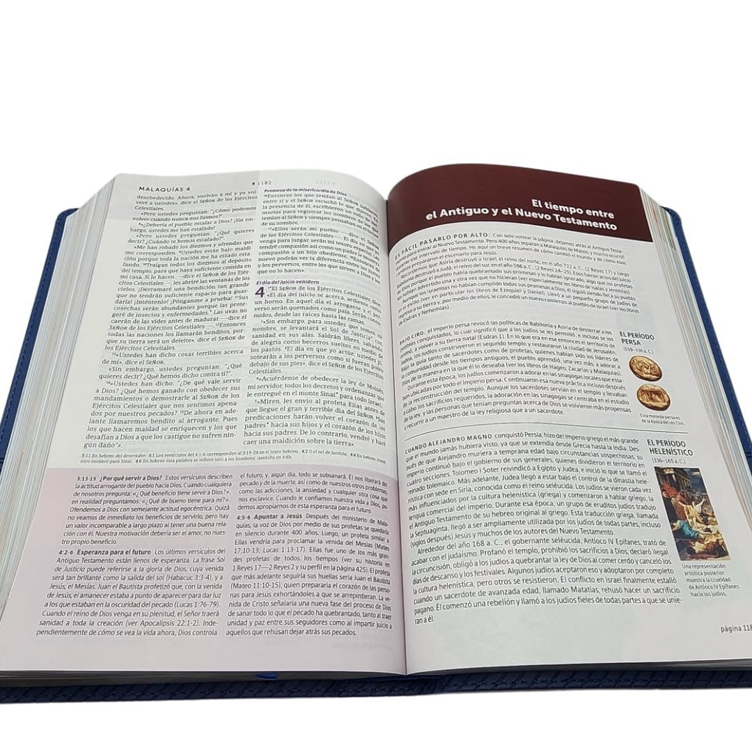 Libreria Cristiana Arca