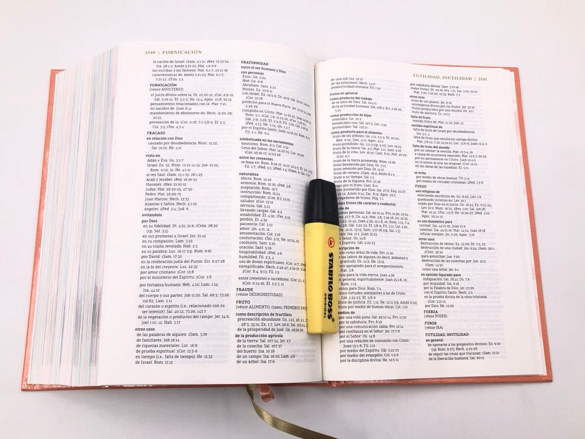 Libreria Cristiana Arca