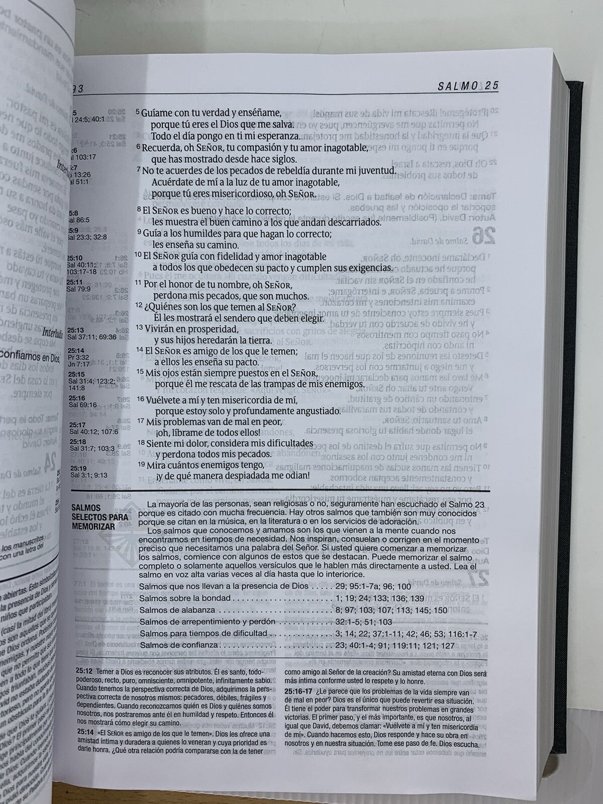 Biblia NTV de Estudio Diario Vivir Letra Grande