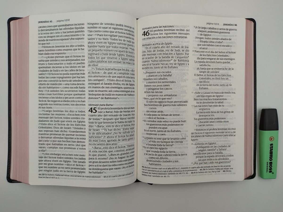 Libreria Cristiana Arca