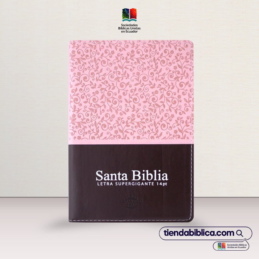 Libreria Cristiana Arca