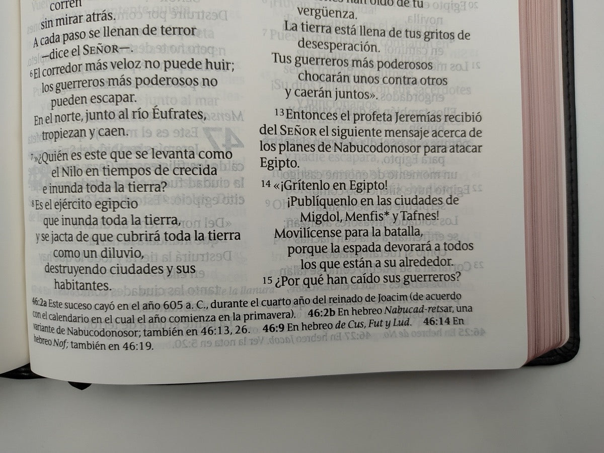 Biblia NTV Clásica Letra Gigante