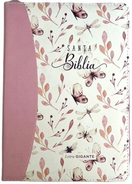 Libreria Cristiana Arca