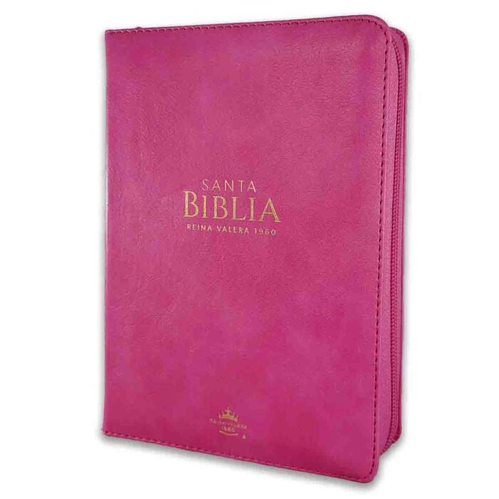 Libreria Cristiana Arca