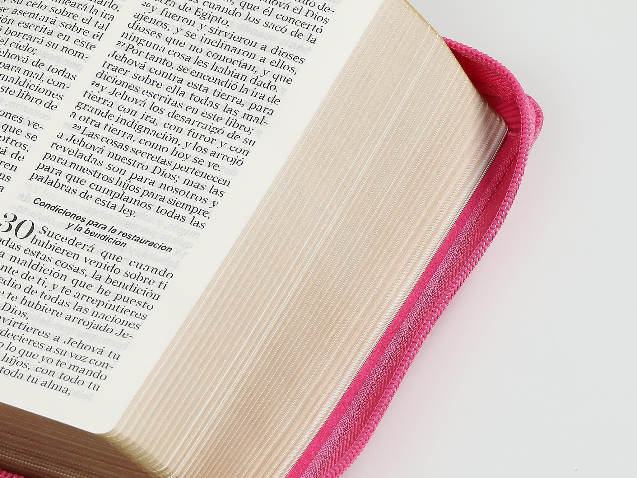 Biblia RVR 1960 Letra Grande Compacta 11 Puntos Símil Piel Fucsia