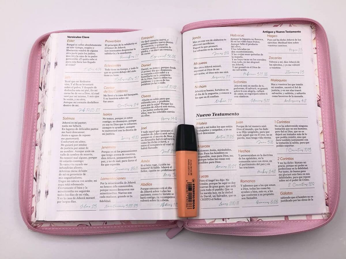 Biblia RVR60 Letra Gigante 15 puntos