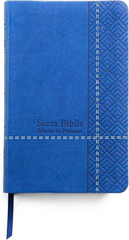 Libreria Cristiana Arca