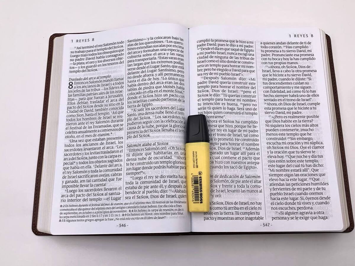 Libreria Cristiana Arca