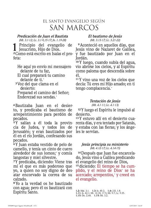 Libreria Cristiana Arca