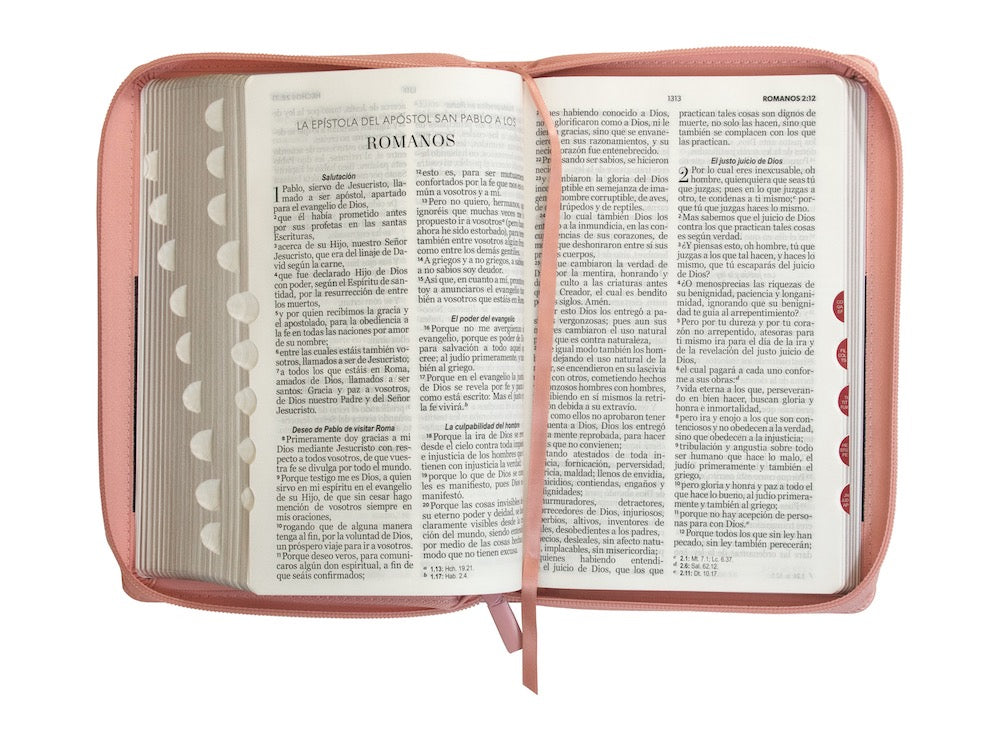 Libreria Cristiana Arca