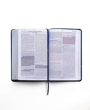 Libreria Cristiana Arca
