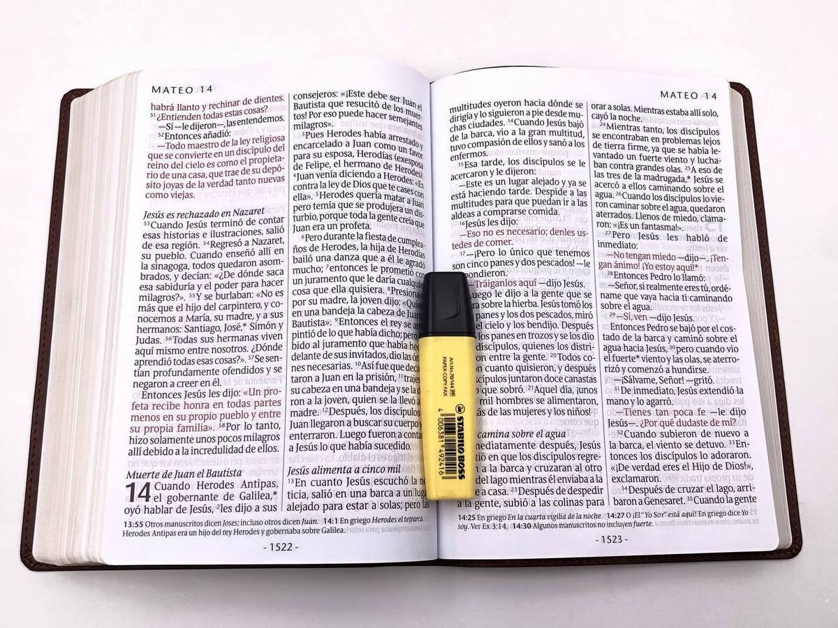 Biblia NTV Letra Súper Gigante Café