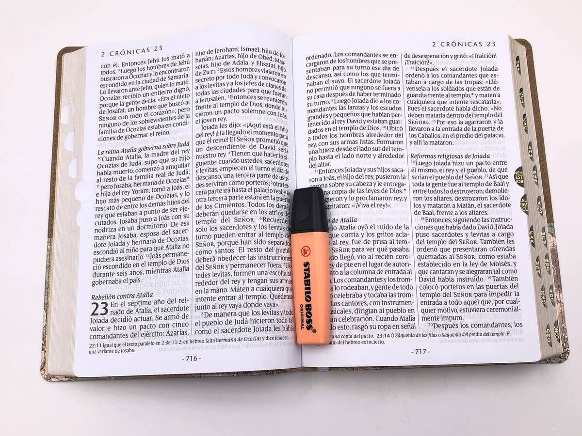 Libreria Cristiana Arca