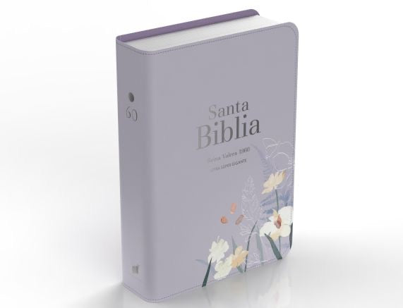 Libreria Cristiana Arca