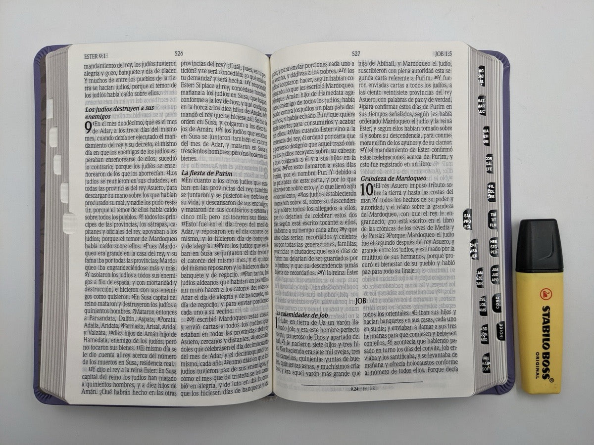Libreria Cristiana Arca